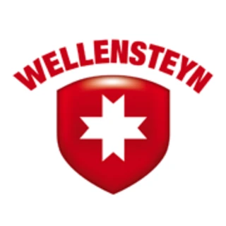 wellensteyn.com